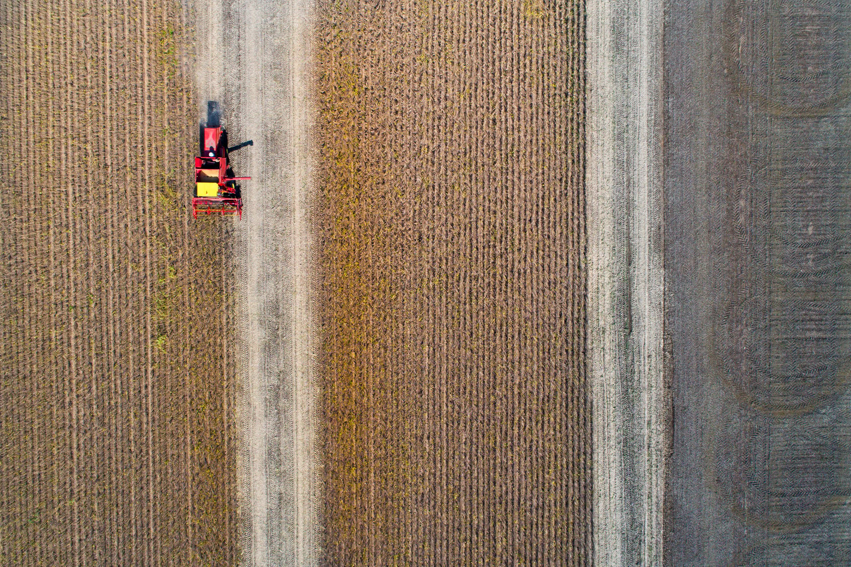 Red Tractor Plowing a Soybean Field Which Will Produce Green Diesel Fuels